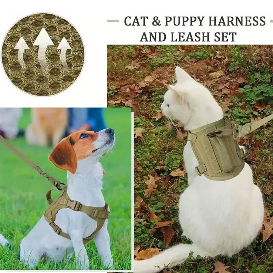 breast-band collar harness leash