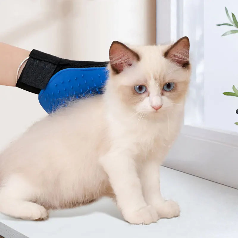 pet grooming glove for cats/dogs