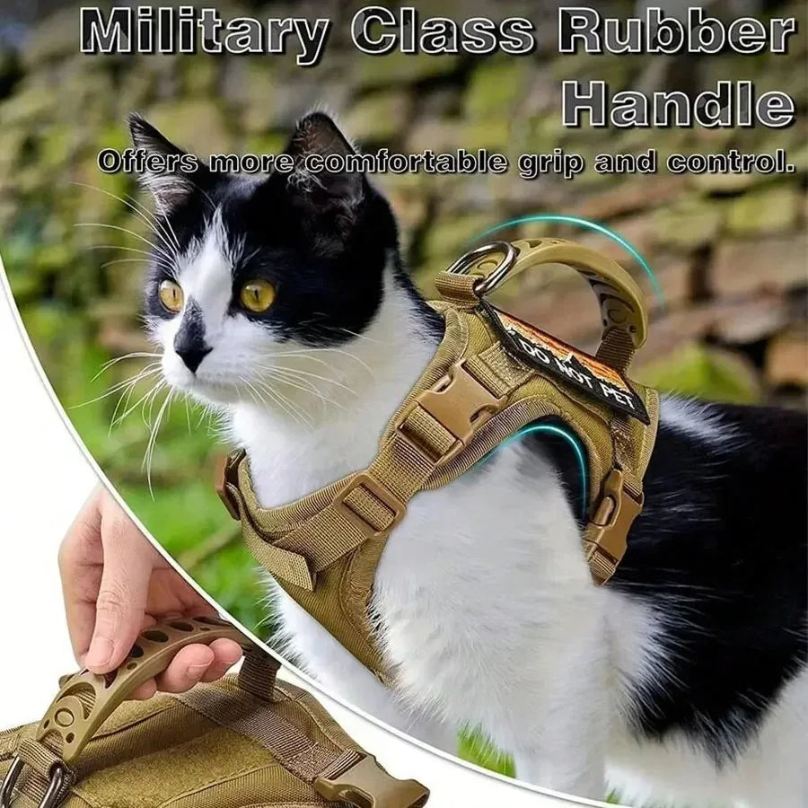 breast-band collar harness leash