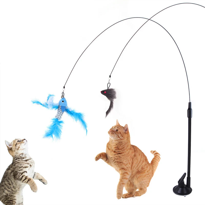 teaser toys for pets