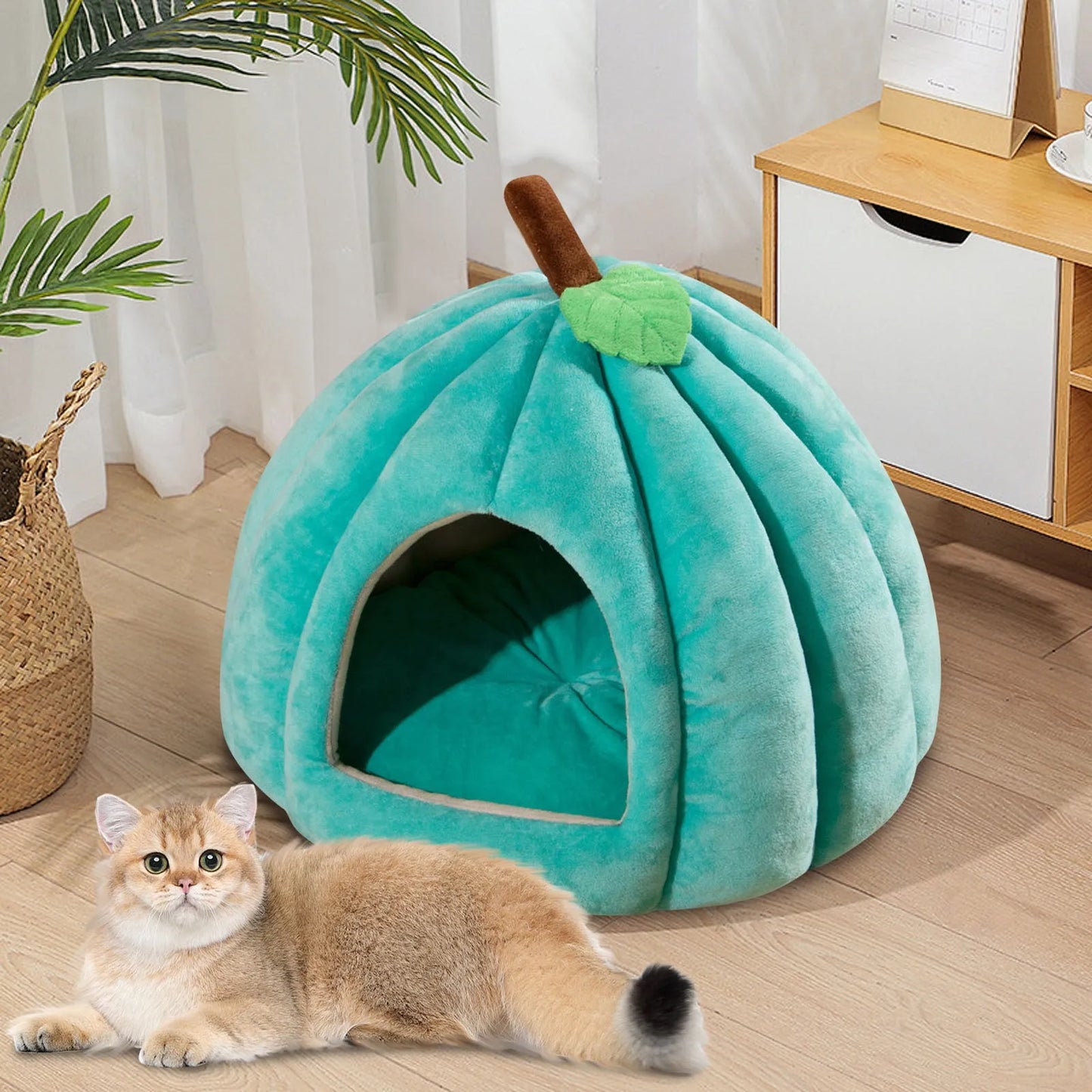 halloween themed pumpkin house for pets