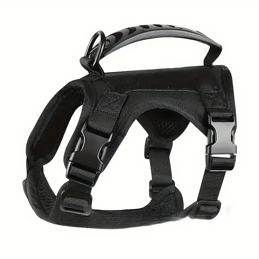 breast-band collar harness leash