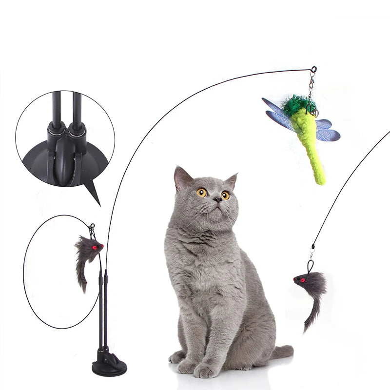 teaser toys for pets