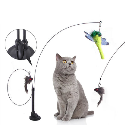 Teaser toys for pets