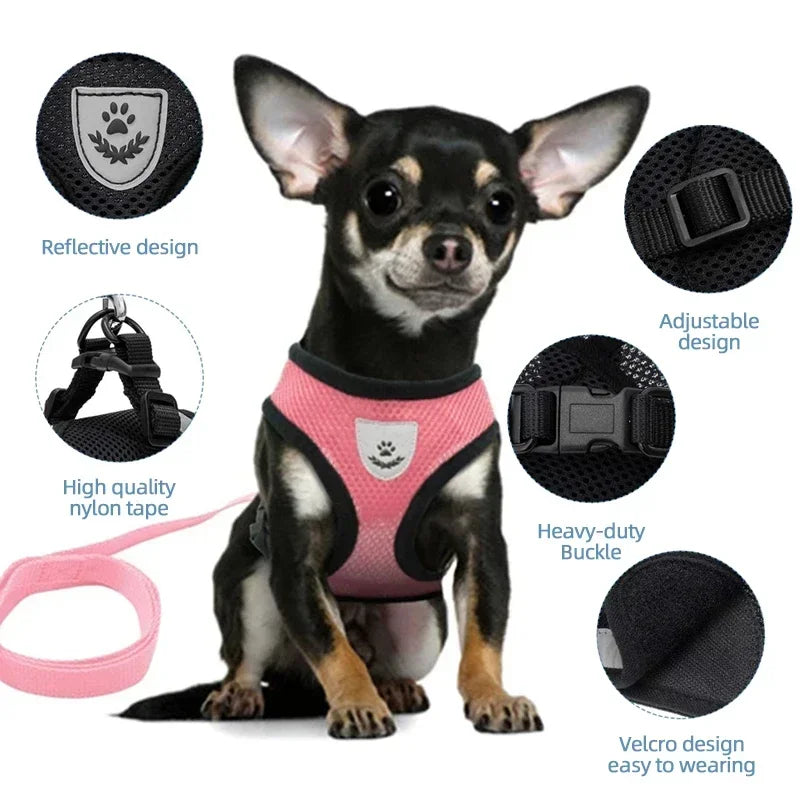 cat harness vest walking leash