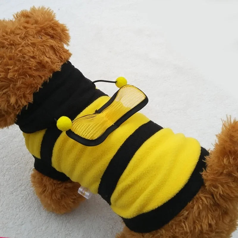 bee pet puppy coat outfit
