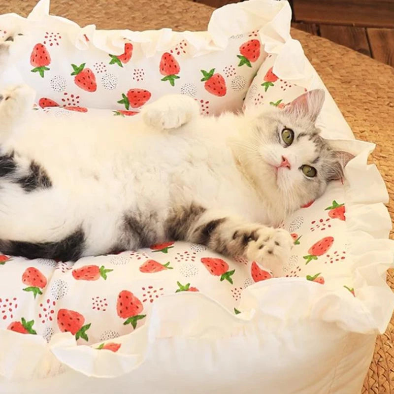 pet dog lace bed with pillow
